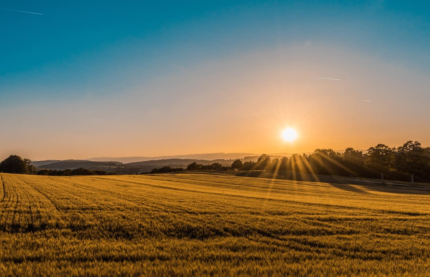 Open farmland at sunrise